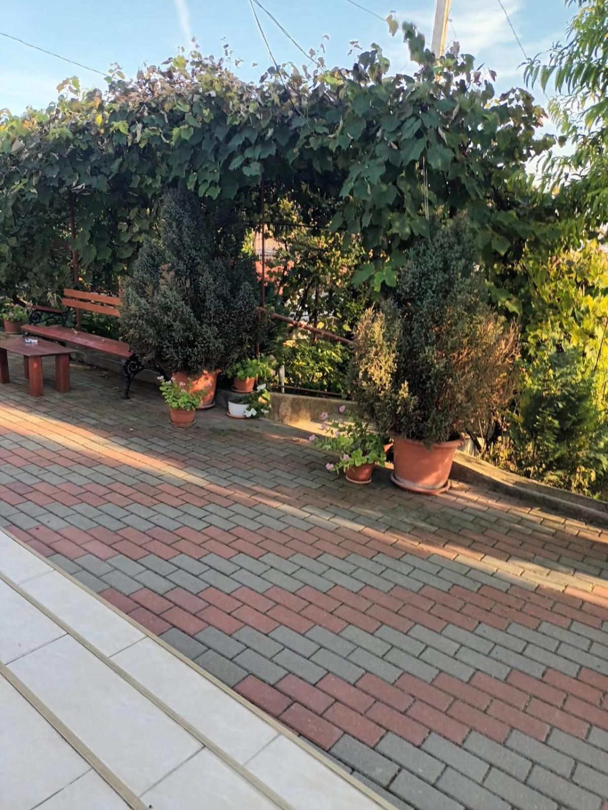 투르다 Casa Matei 빌라 외부 사진