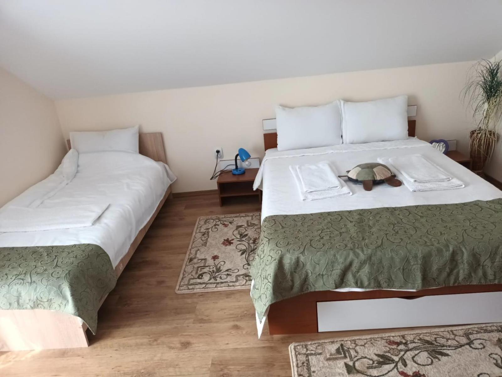 투르다 Casa Matei 빌라 외부 사진