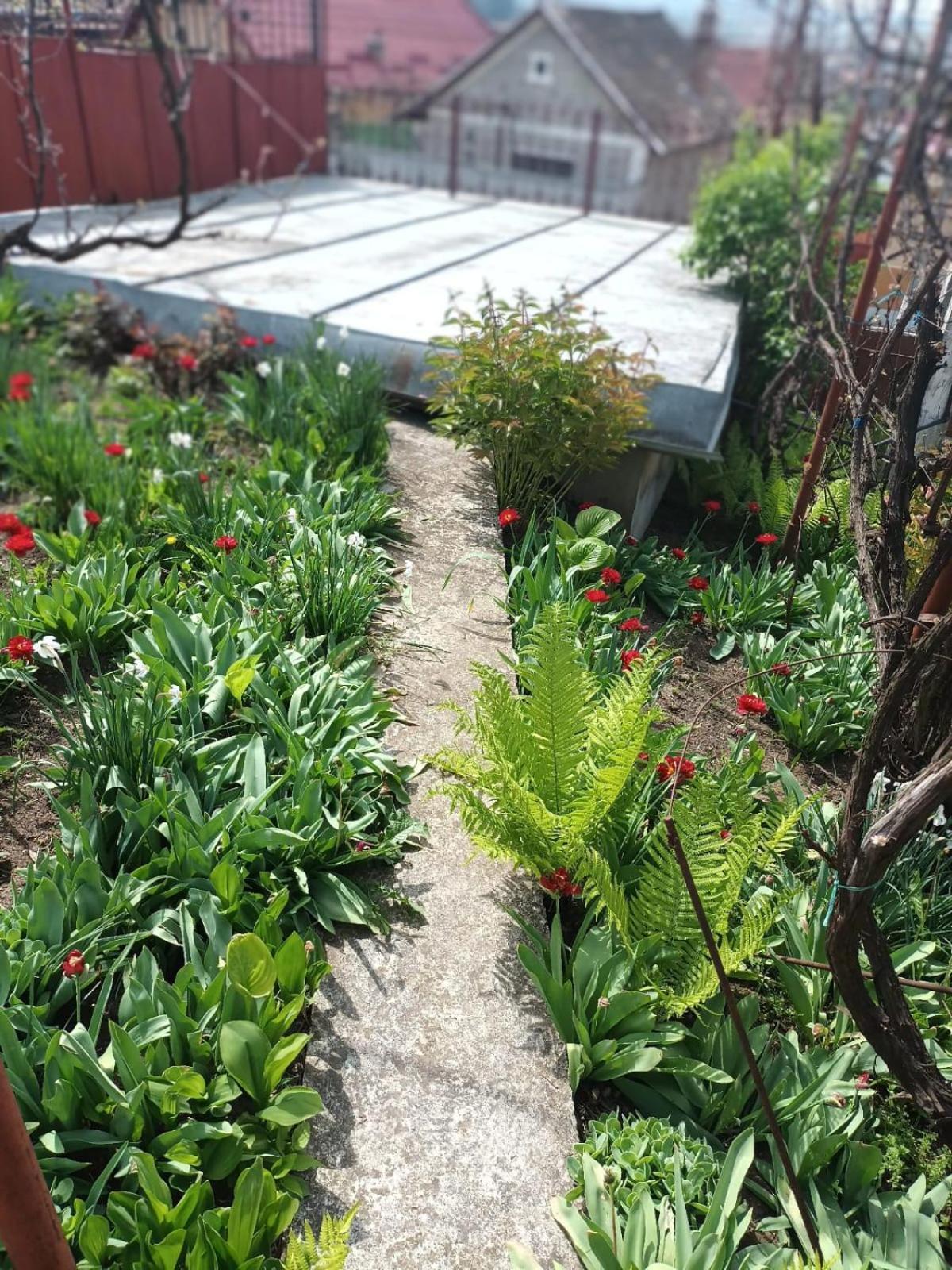 투르다 Casa Matei 빌라 외부 사진