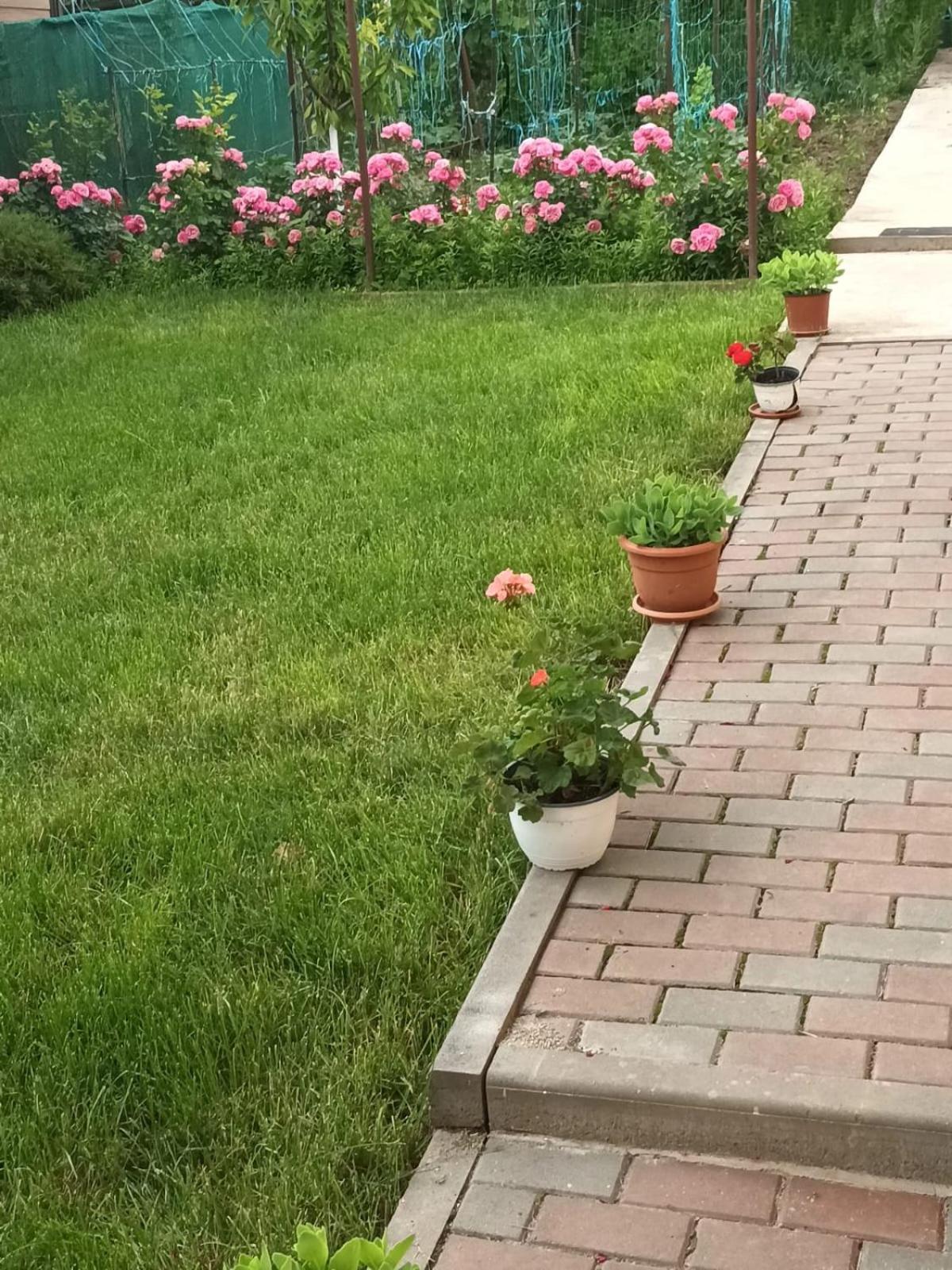 투르다 Casa Matei 빌라 외부 사진