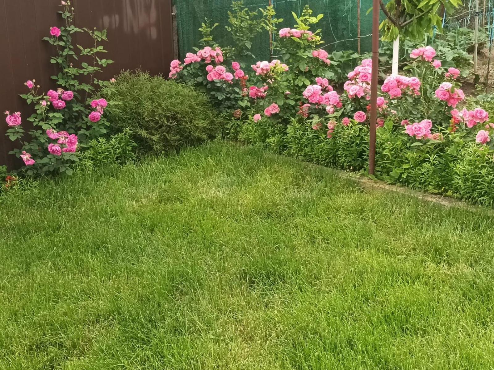 투르다 Casa Matei 빌라 외부 사진